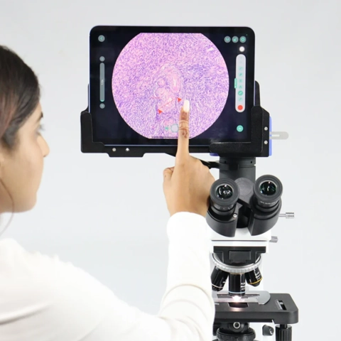 cilika bt p dual head copy